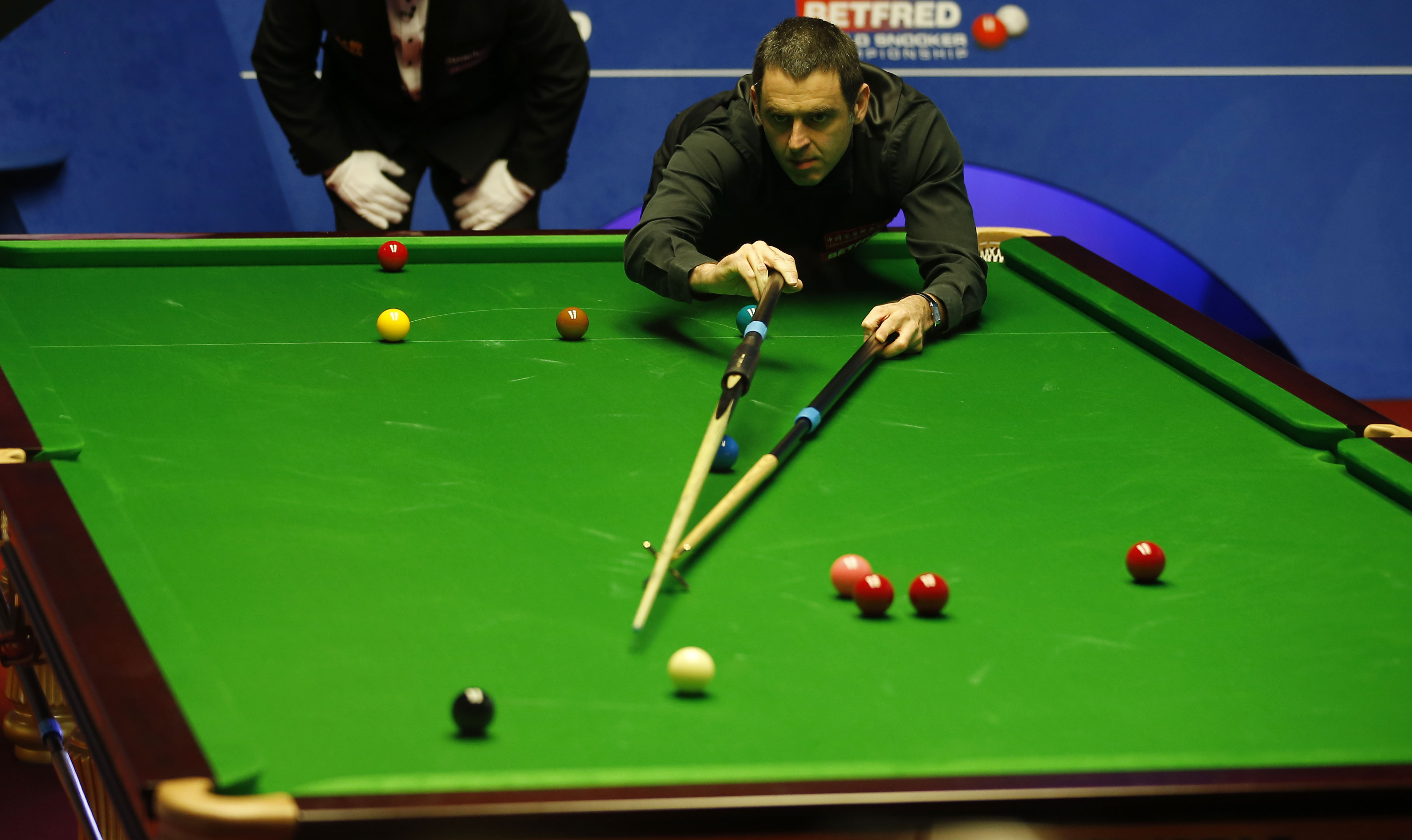 节成为媒体 节成为媒体