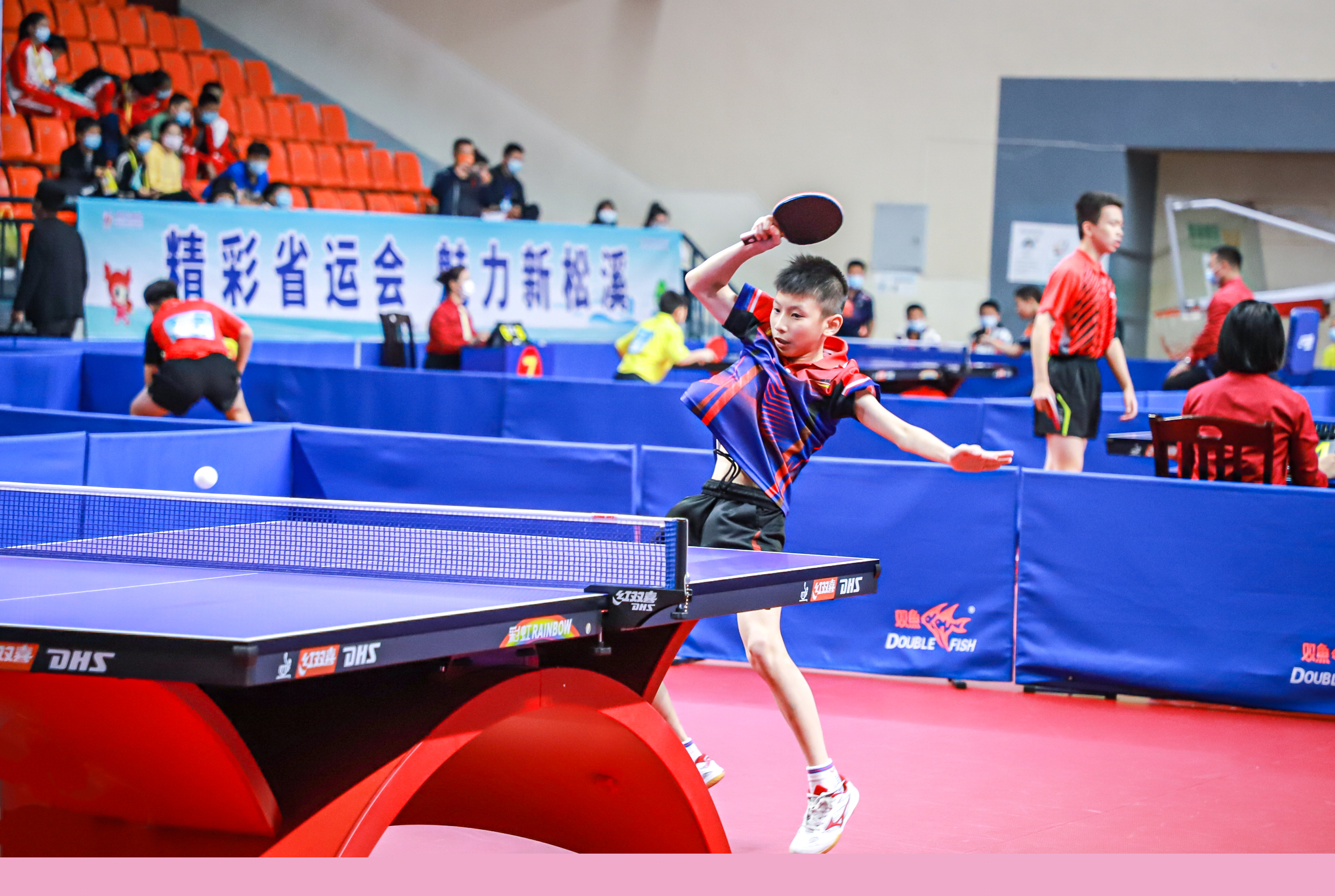 共生关系的 共生关系的