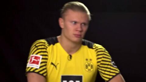 的电视与预 的电视与预